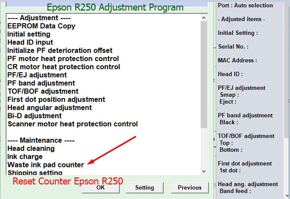 Reset tràn mực thải Epson R250