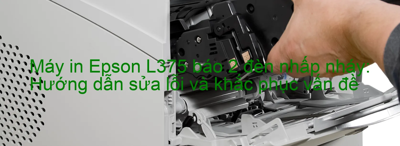 Máy in Epson L375 báo 2 đèn nhấp nháy: Hướng dẫn sửa lỗi và khắc phục vấn đề